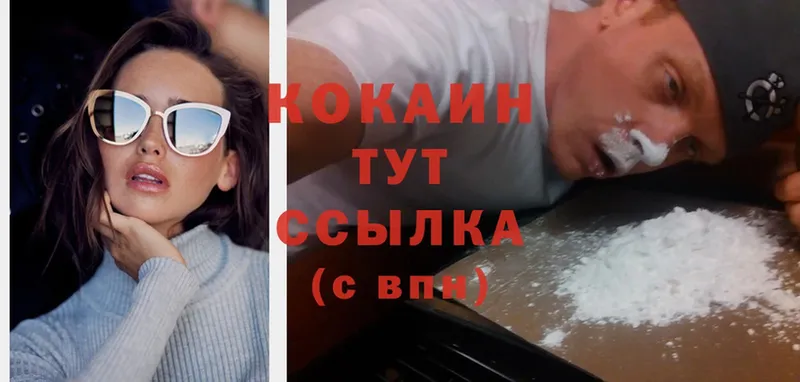 купить закладку  Красный Сулин  Кокаин FishScale 